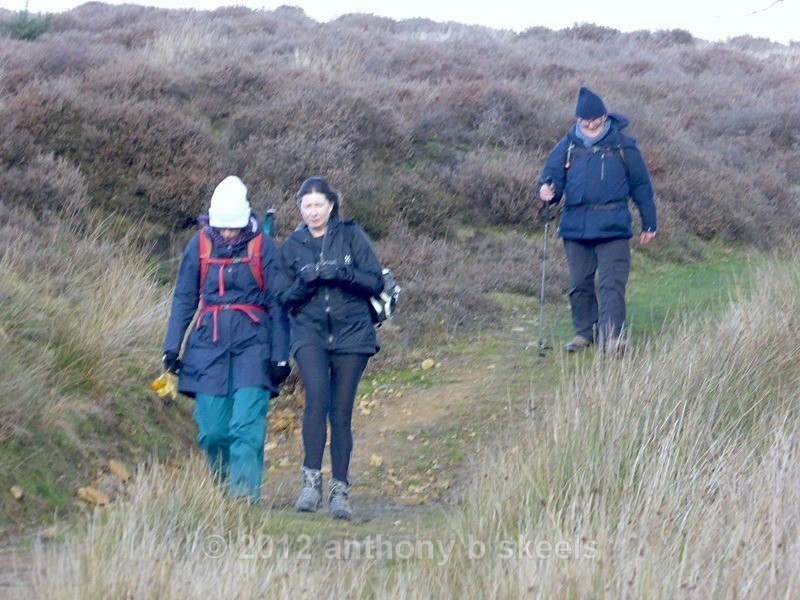 075 Approaching Mary Magdalene Well - York Minster Walkers Collection 2025