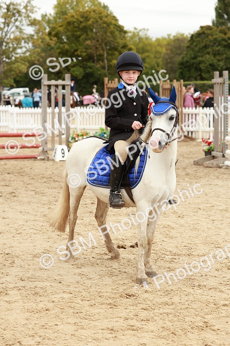 SBM_65337 - Supreme Championship 50cm & 55cm