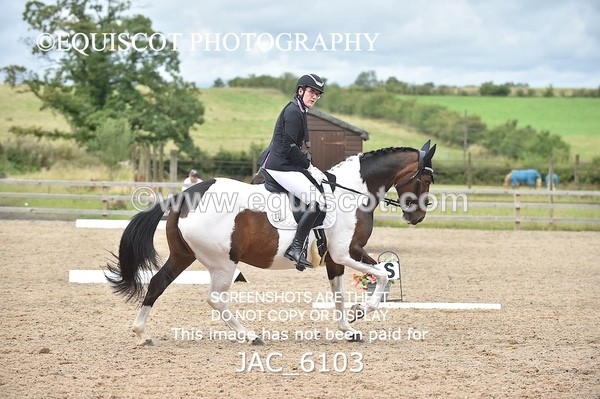 JAC_6103 - NOVICE 6