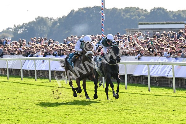 111025-Race 3-Laazm-0330 - Race 3 Coral 'Daily Reward Shaker' For Free Nursery Handicap at York