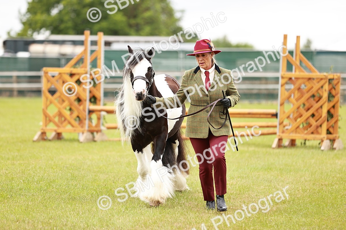 SBM_06051 - Class 39-41 TGCA In Hand and Ridden
