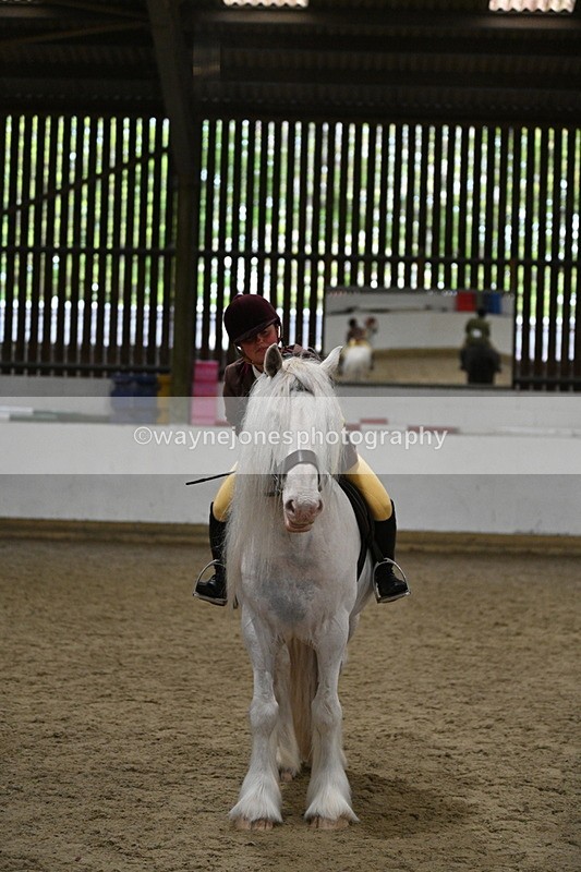 WJ7_4365 - Class 17 Ridden Cob