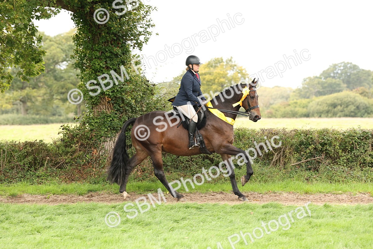 SBM_66414 - S66 - Hunter Ridden