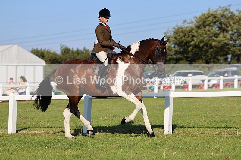 IMG_1215 - Class 27: Ridden Plaited Coloured Horse