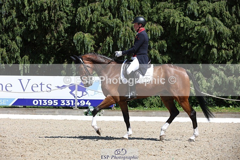 230526-144742-06548 - 375-FINLEY_DU_LOIR-Oliver_Townend-WEDTrotUp+DR