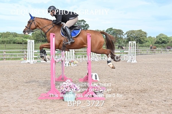 BPP_3727 - CLASS 41 SUN  Senior Discovery/ 1m Open