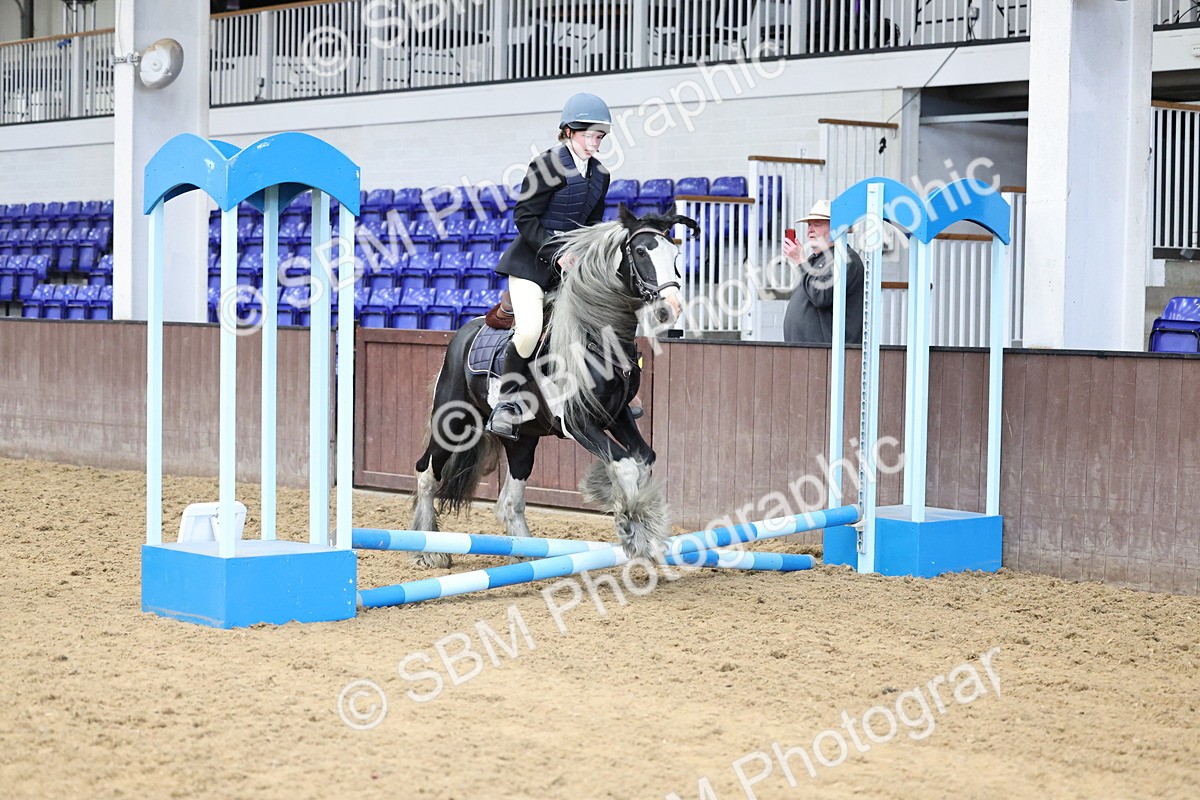 SBM_006974 - Class 1 - 40cm showjumping