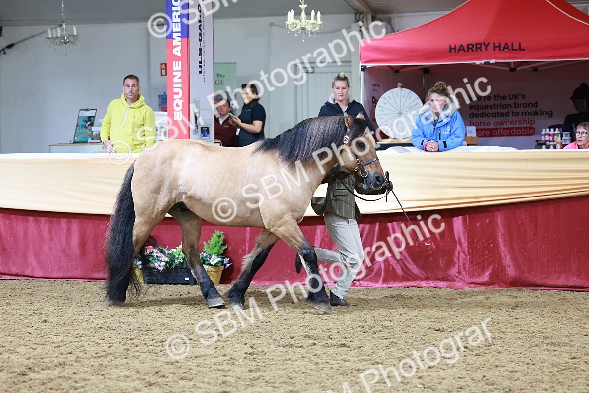 SBM_20006 - Class B - Junior Champ 11yr to 16 Years