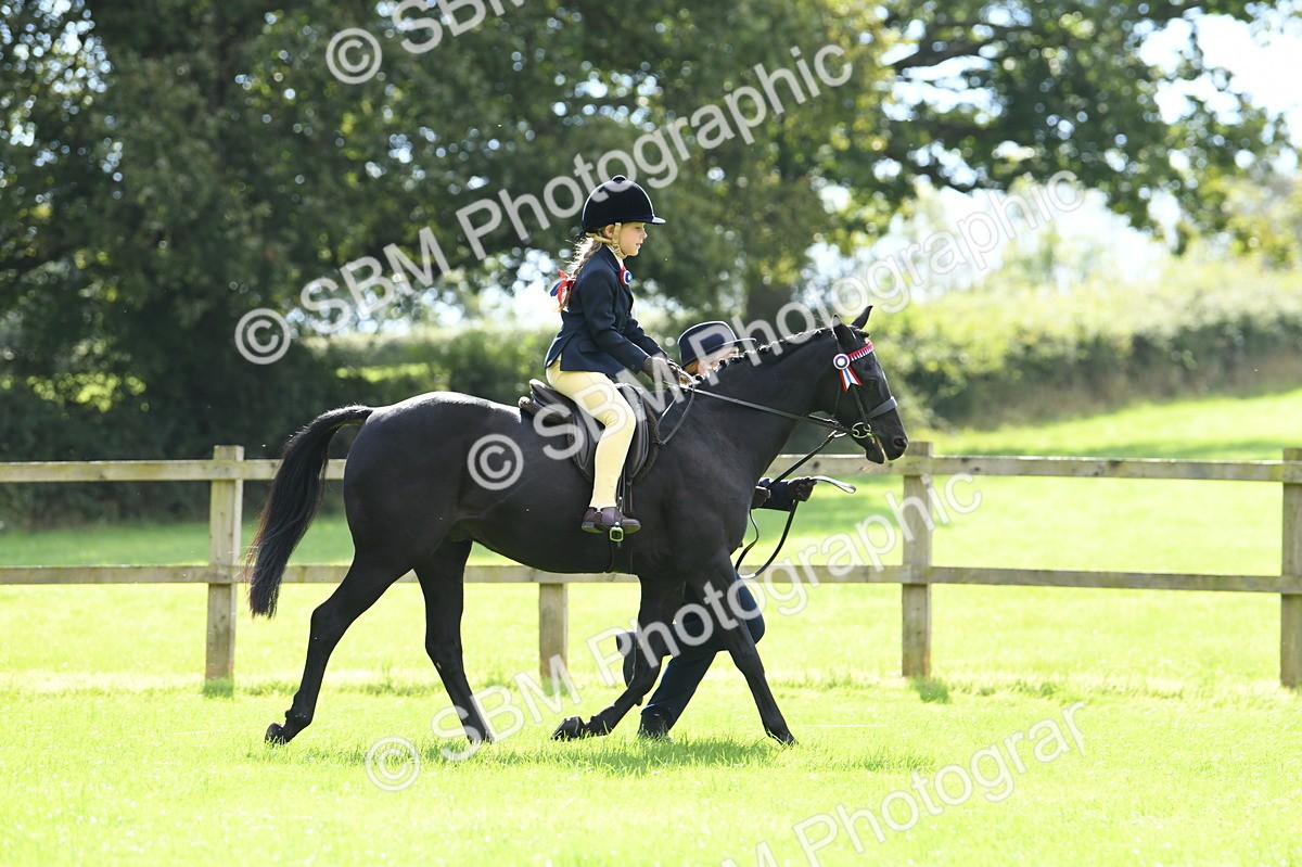 SBM_41138 - S19 - Lead Rein Show & Show Hunter Pony