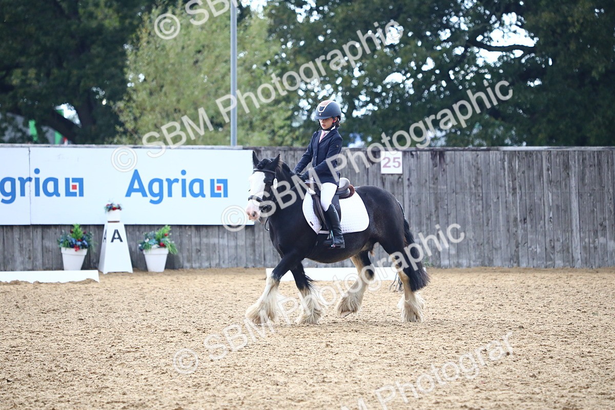 SBM_42599 - D21 - Junior Championship Intro 1