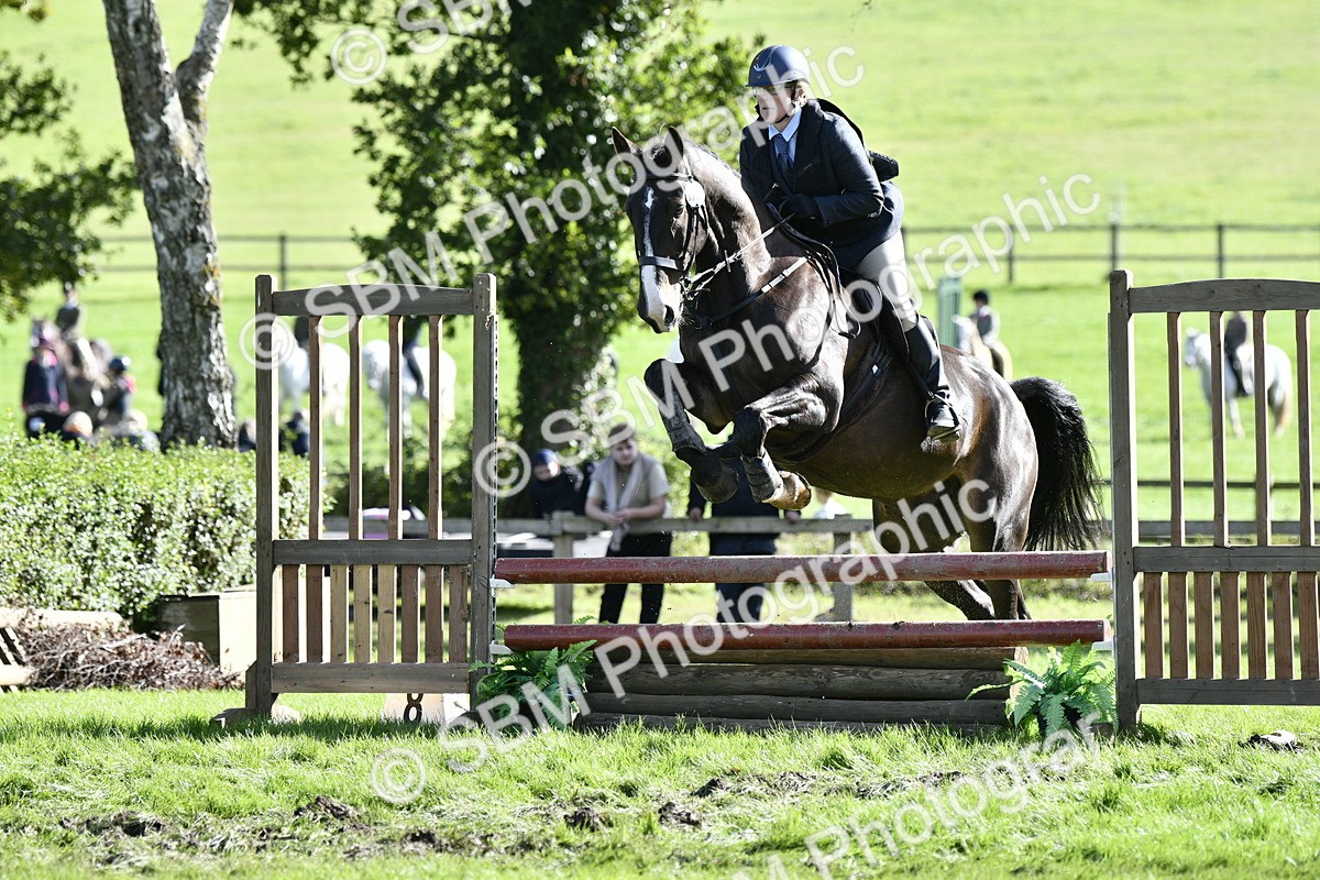 SBM_50045 - S34 - Novice & Newcomers Working Hunter