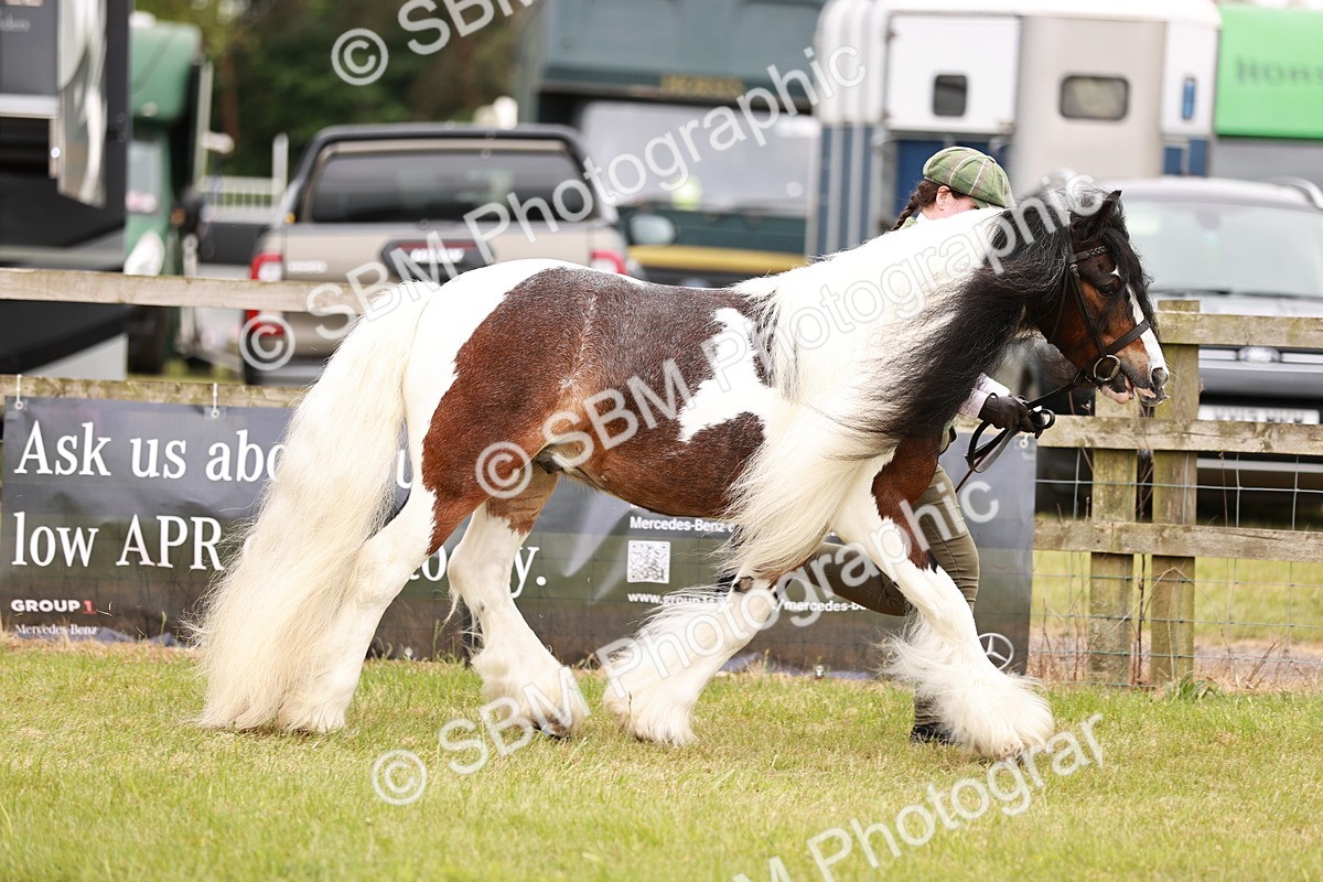 SBM_04657 - Class 5-8 - BSPA In hand