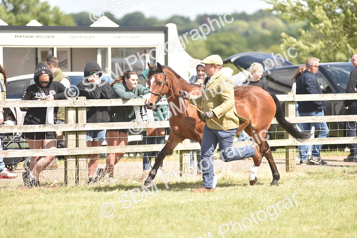 SBM_16093 - Class 117-122 - SSADL RIHS Qualifier