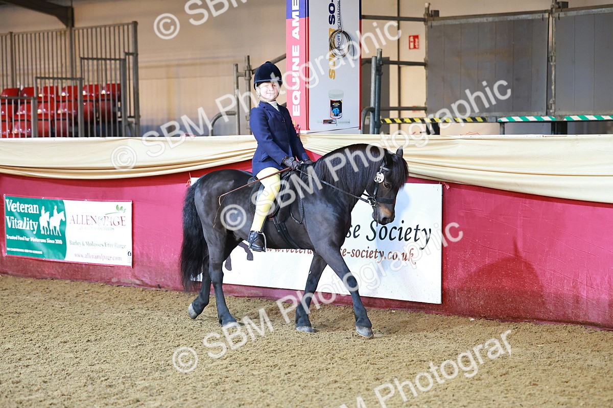 SBM_14646 - Class C - Novelty champ