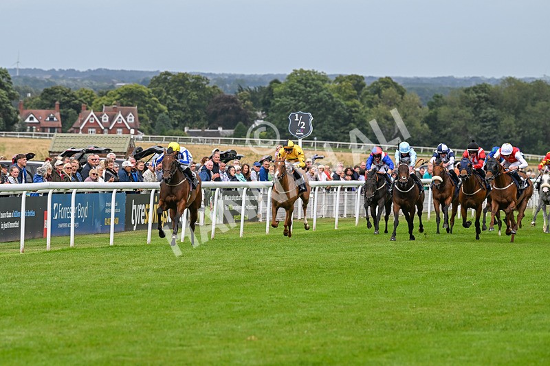 150824-Race 3-Go On Rosie-7835 - Race 3