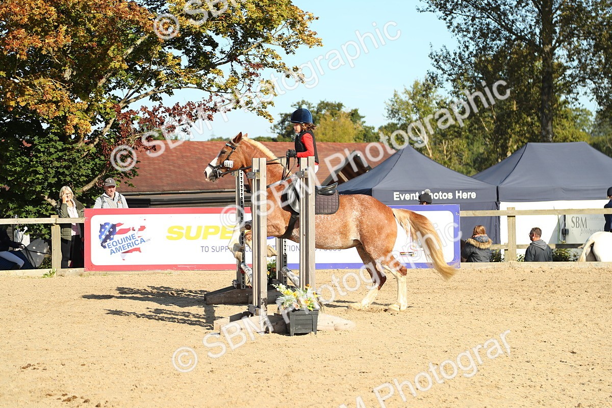 SBM_35865 - J5 - Junior Pony 50cm Championship