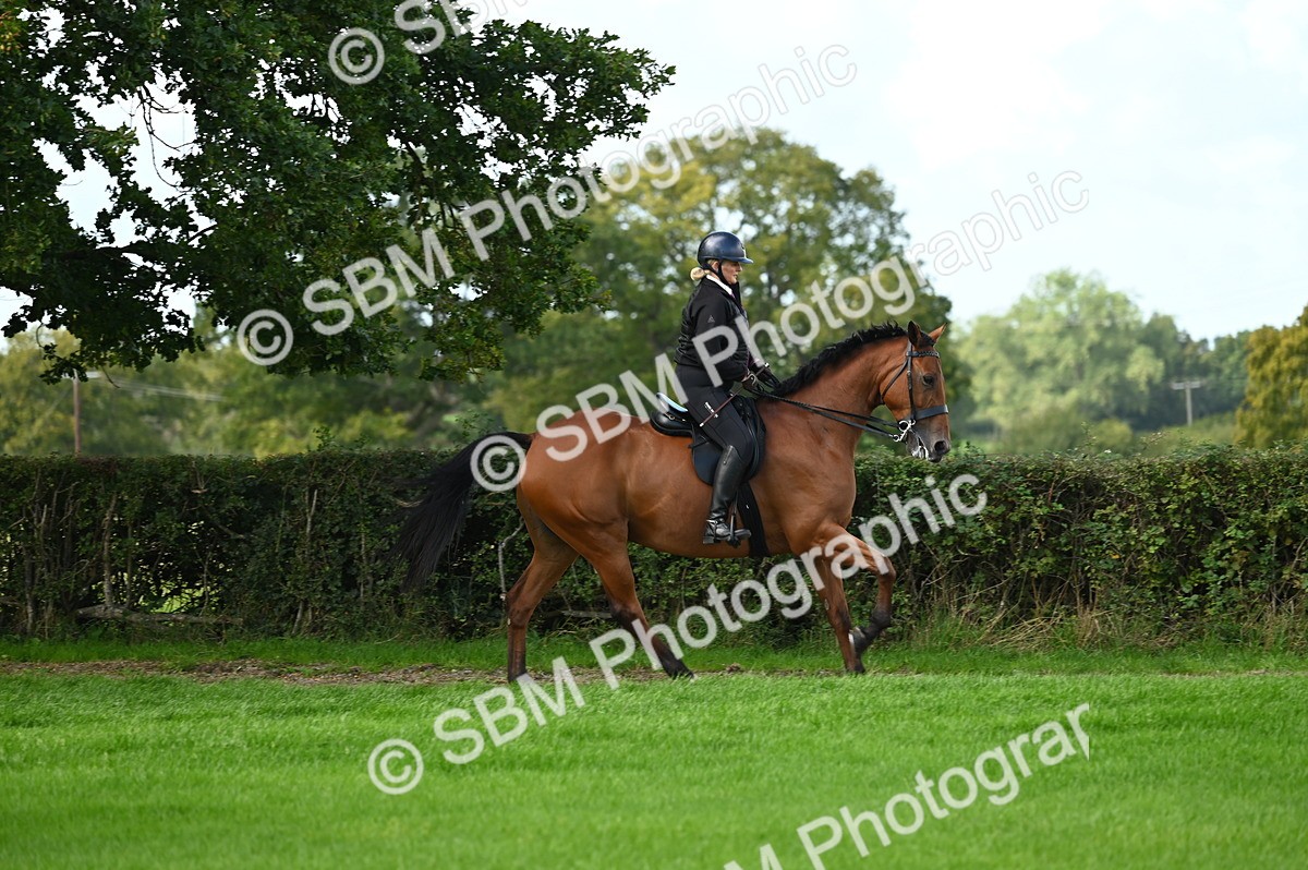 SBM_01980 - S2 - TSR Ridden Horse Showing