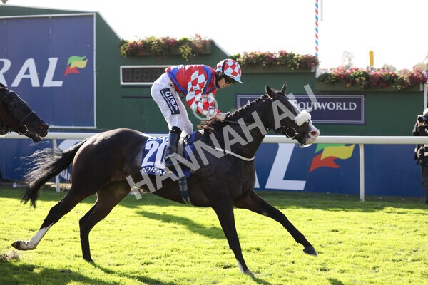 yr08102022r4-34 - Race 4 3.15pm The Coral Sprint Trophy