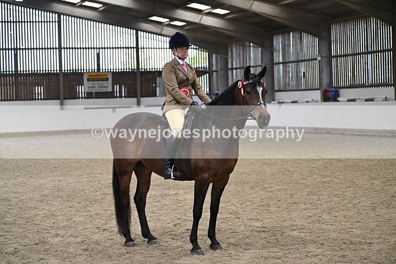 WJ7_4667 - Afternoon Champs