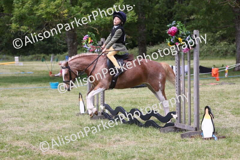 20260614-2046 - Class 21 - Novice Working Hunter Pony