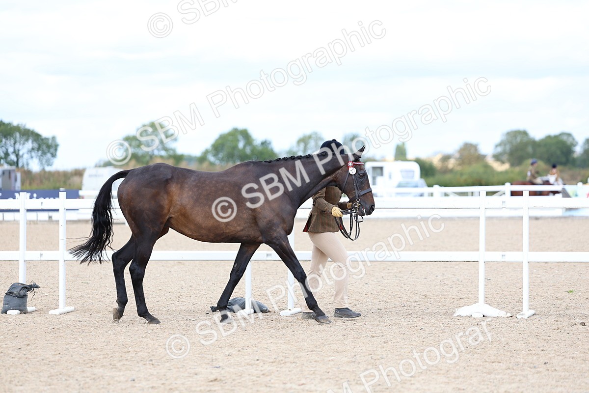 SBM_15247 - Class 313 - IH Retired Racehorse