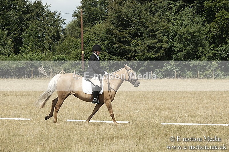 _PJP5811 - Dressage Classes BVRC Show 2018