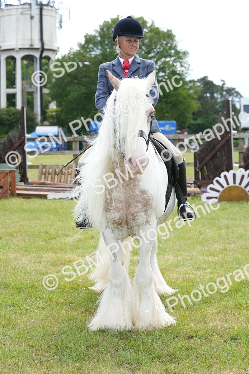 SBM_17328 - Class 107-108 - LIHS BSPS Performance Coloured Horse Pony