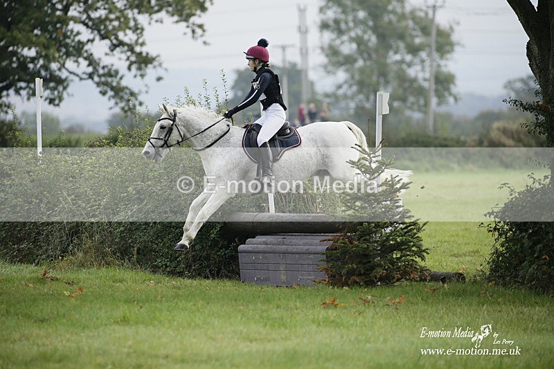  WWHT 171021 0828 - Open Novice (0.80m)  17/10/21