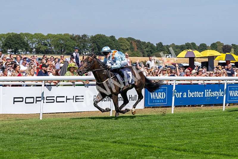 120826-Race 1-Lexington Boom-5094 - Race 1 14.15pm Macan At Porsche Centre Hull EBF Restricted Novice Stakes