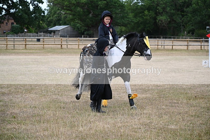 WJ6_8588 - Class 11 Fancy Dress