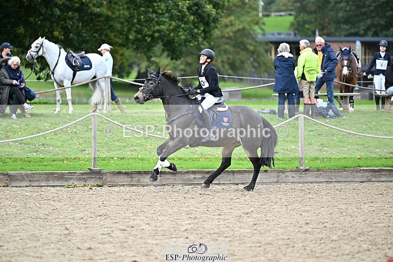 251005A-134700-04157 - Cls 09 Nov 80-85cm