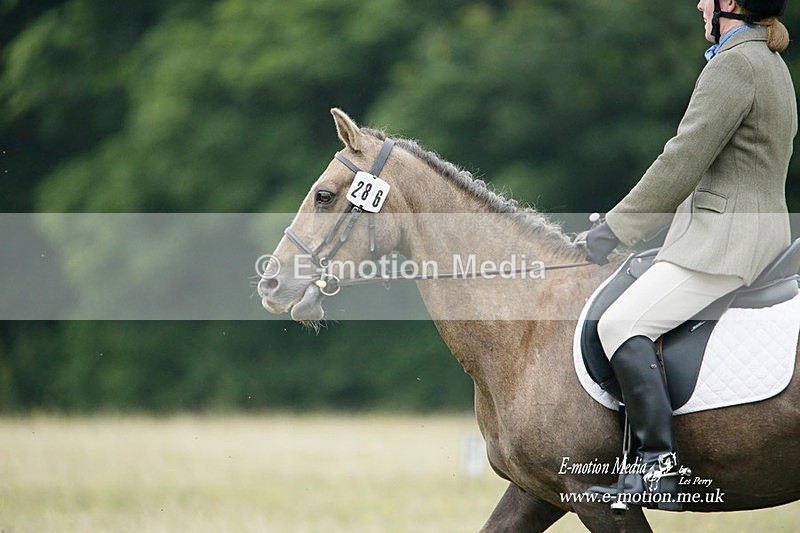BVRC 030721 517 - Bourne Valley Riding Club Dressage 03/07/21
