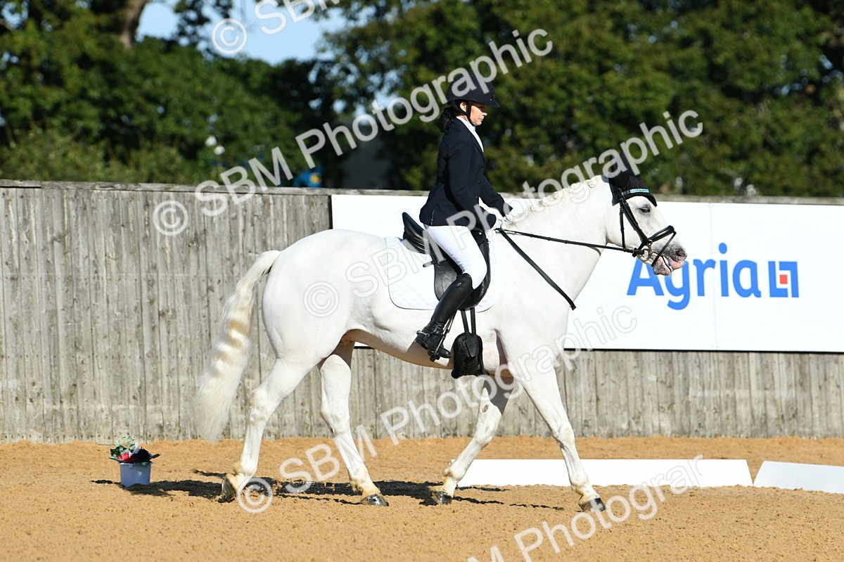 SBM_16108 - D4 - Small Tour Championship - Intro B