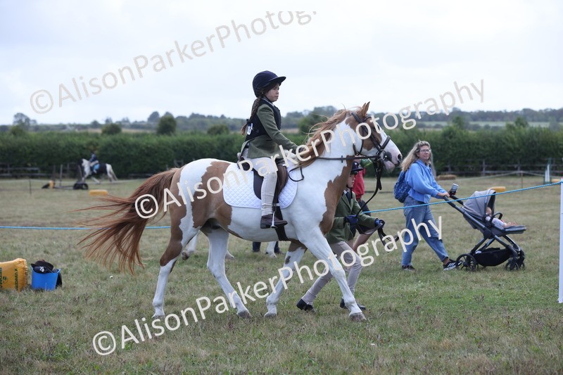 20250831-2405 - Class 16 - Family Pony