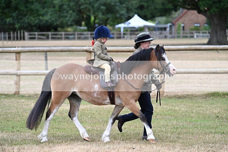 WJ7_9636 - Class 1 Lead Rein Pony