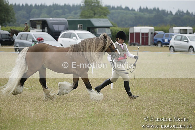 B230619-0833 - Bourne Valley Riding Club Summer Show 23/06/19