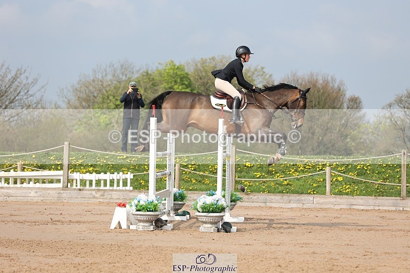 250424-102632-03015 - Cls 33 Young Horse 7yr old