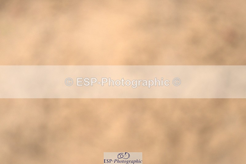 240317A-104200-05005 - Cls 25 Snr 1.20m Open