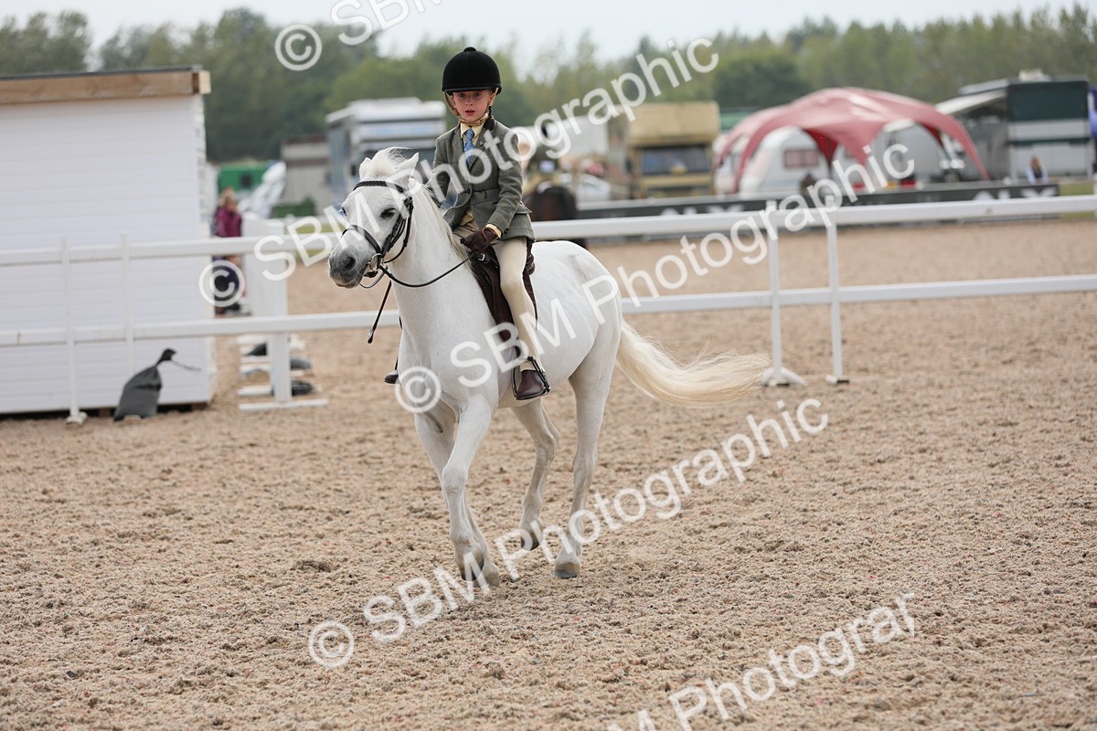 SBM_16933 - Class 314 Family Horse/Pony