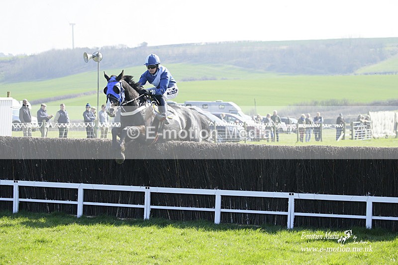 PtP 190322 393 - Wilton Hunt PtP Milborne St Andrew 19/03/22