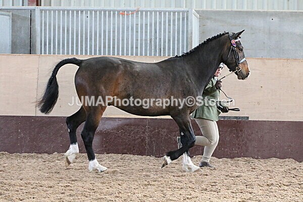 SIAL9683 - Indoor Classes