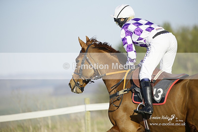 PtP 270222 443 - South & West Wilts Point-to-Point Larkhill 27/02/22