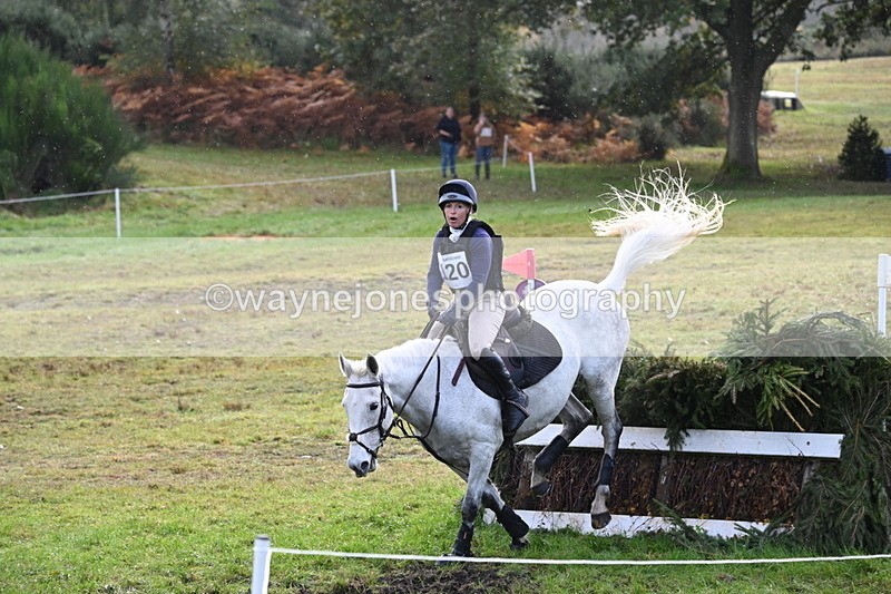 WJ6_2019 - 80cm Cam 1 Time 10:47 to 11:22