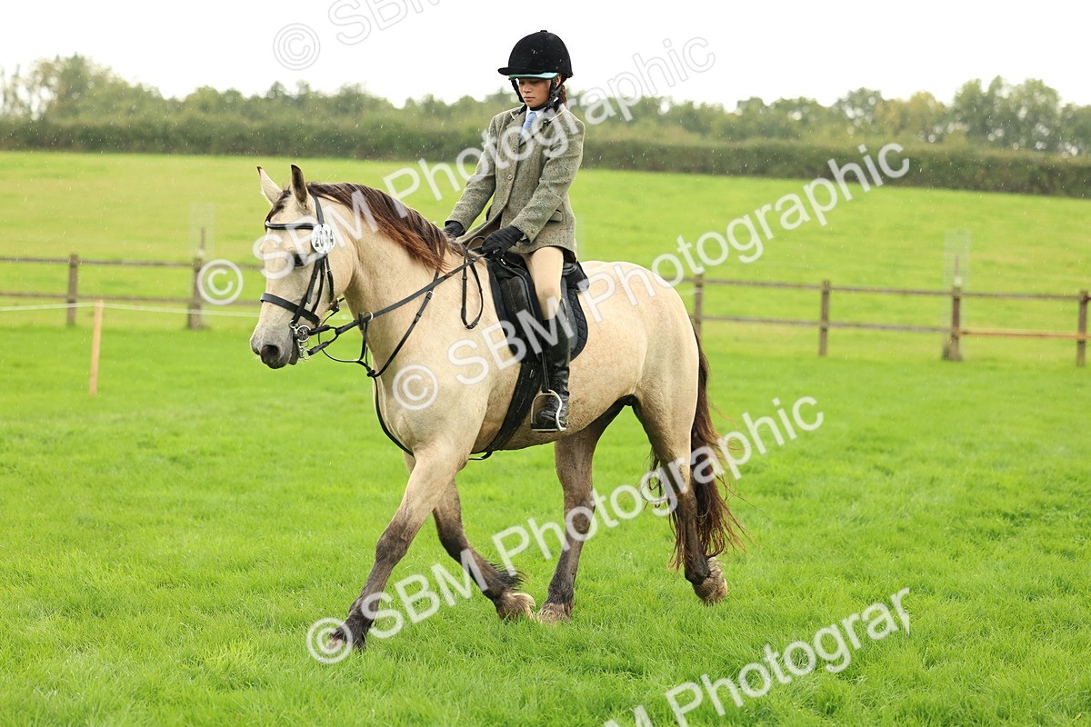 1I0A1499 - S32 - Mountain & Moorland Working Hunter Pony