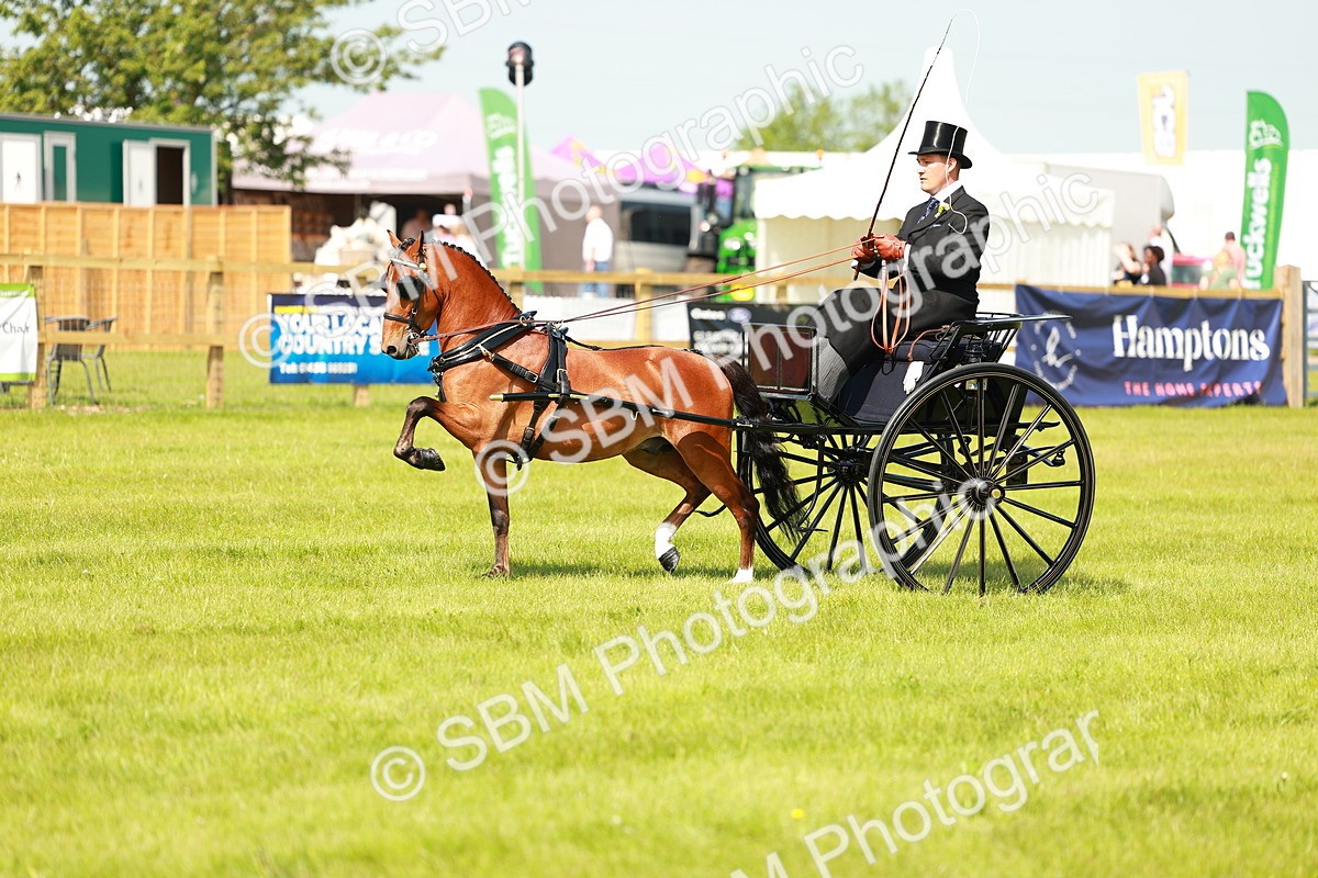 SBM_02691 - Class 2-4 - HOYS Private Driving