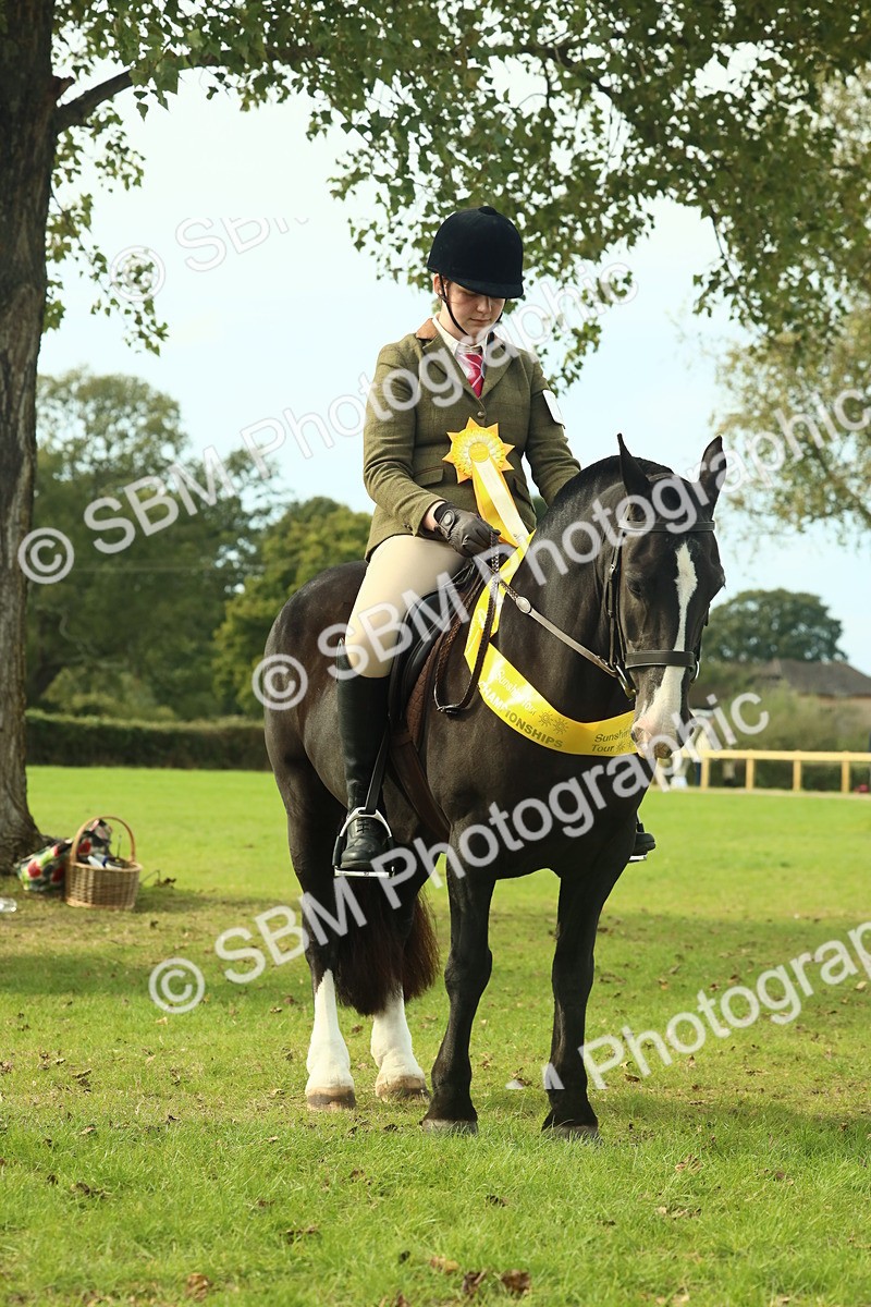 SBM_69401 - S58 - Mini Show Cob Ridden