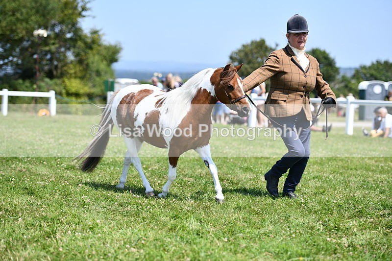 DSC_7703 - Class 64: Coloured Pony 4yrs & over