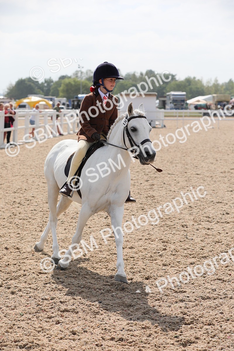 SBM_14765 - Class 310 First Ridden Pony