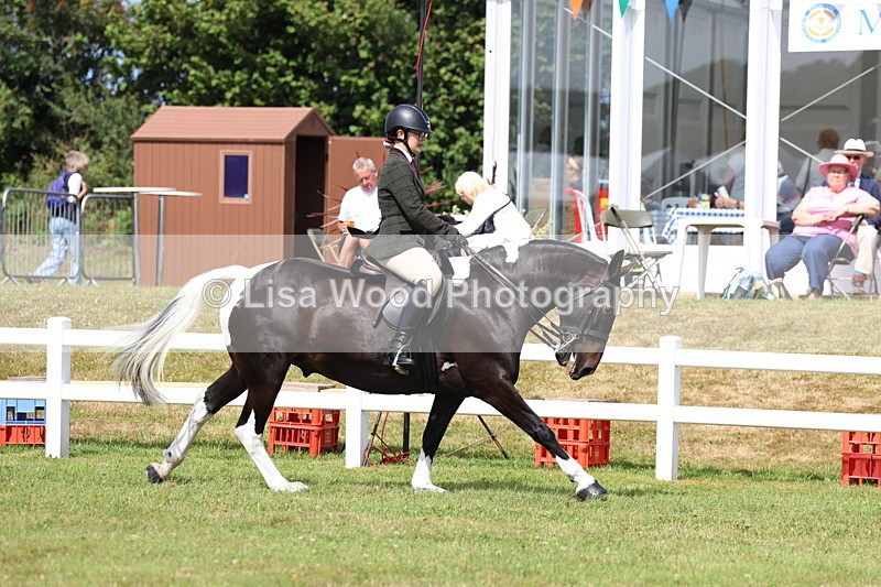 3E7A9844 - Class 5: Rising Star Lightweight/Heavyweight Cobs