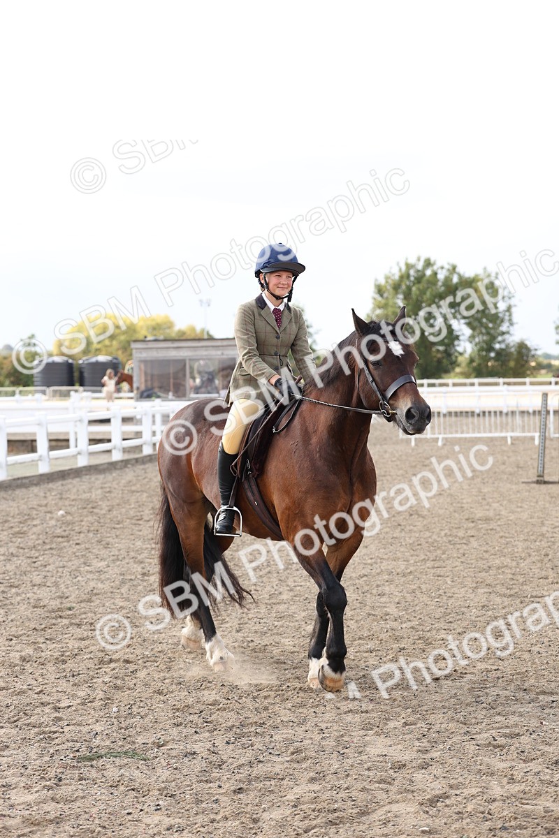 SBM_07391 - Class 58b -  Style & Performance - 70cm (20+)